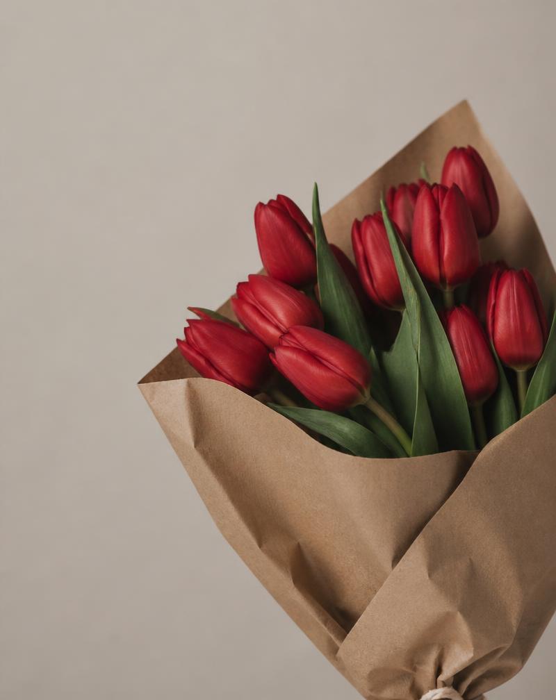 Saison Tulipe — bouquet minimaliste de tulipes rouges